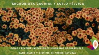 Microbiota vaginal y suelo pélvico: cómo prevenir infecciones urinarias recurrentes, candidiasis y cistitis de forma natural