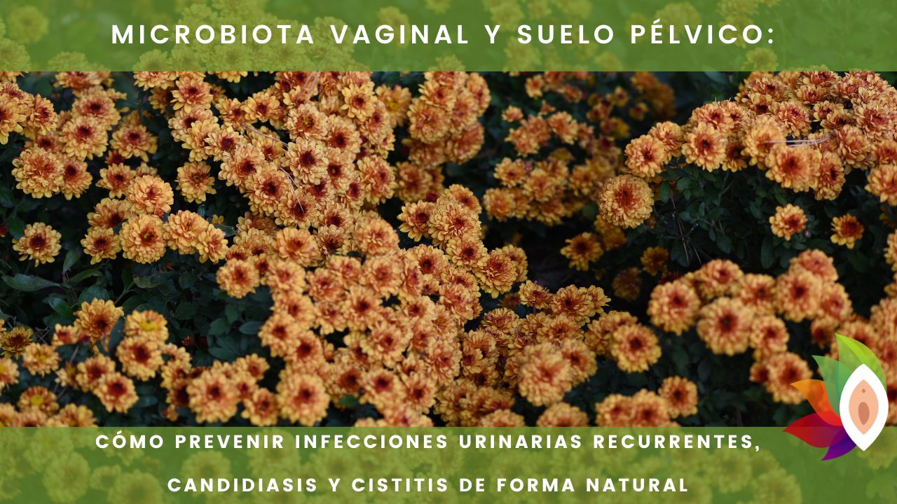Microbiota vaginal y suelo pélvico: cómo prevenir infecciones urinarias recurrentes, candidiasis y cistitis de forma natural