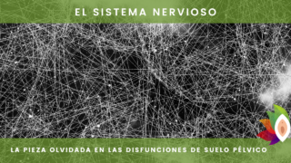 NESA en salud femenina: beneficios en suelo pélvico en Madrid, Alcalá y Guadalajara