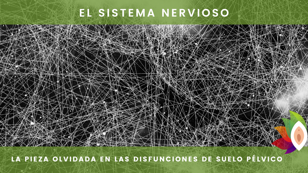 NESA en salud femenina: beneficios en suelo pélvico en Madrid, Alcalá y Guadalajara