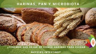 Harinas, pan y microbiota: ¿tenemos que dejar de comer harinas para cuidar nuestro intestino?