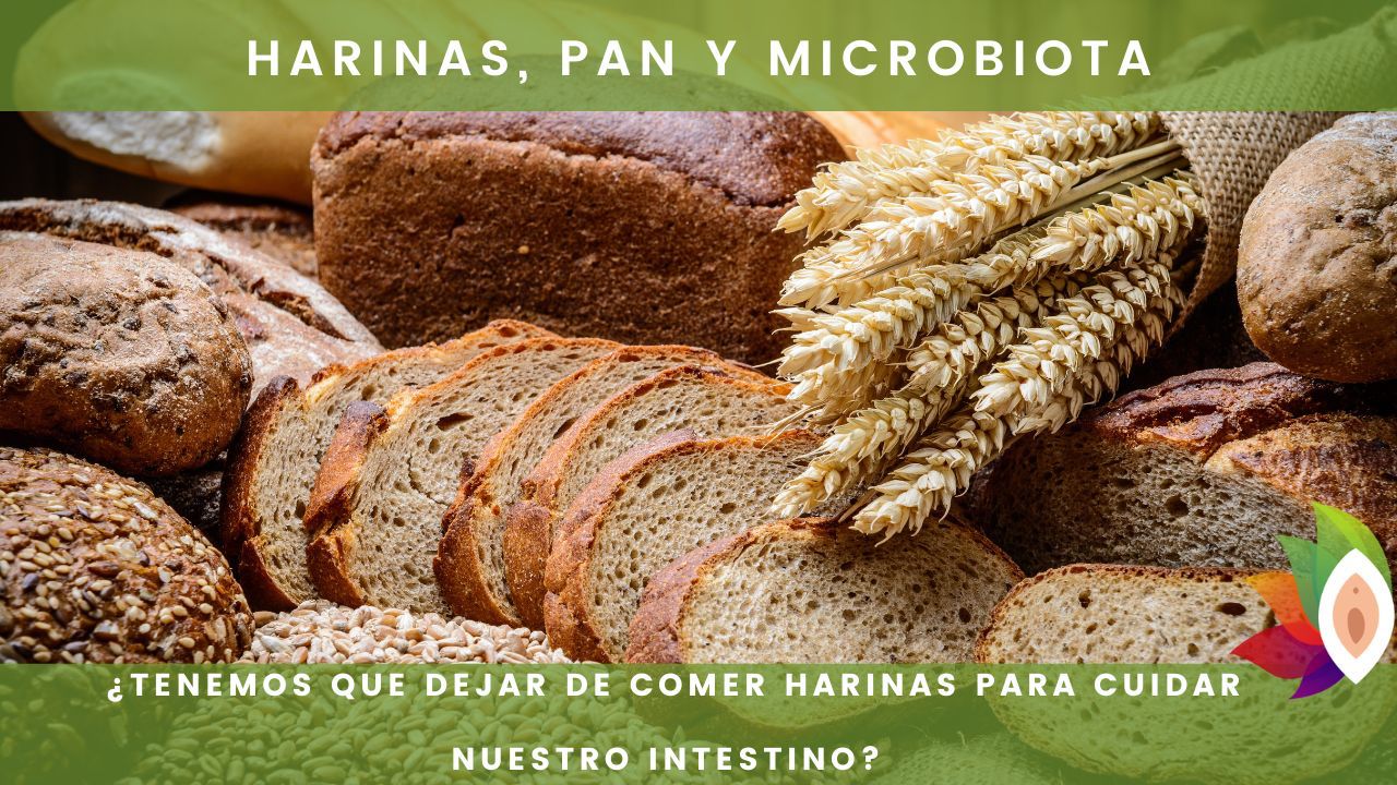 Harinas, pan y microbiota: ¿tenemos que dejar de comer harinas para cuidar nuestro intestino?